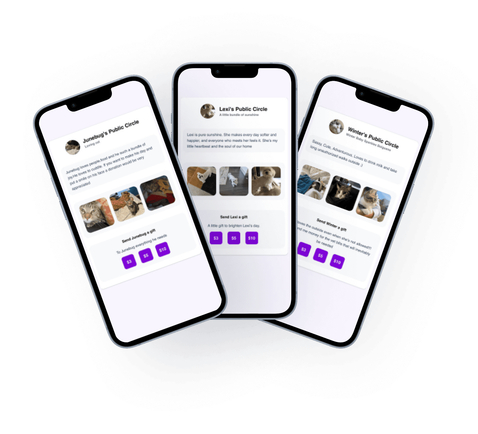 iPhones that showcase the PawCircle Pet Profiles